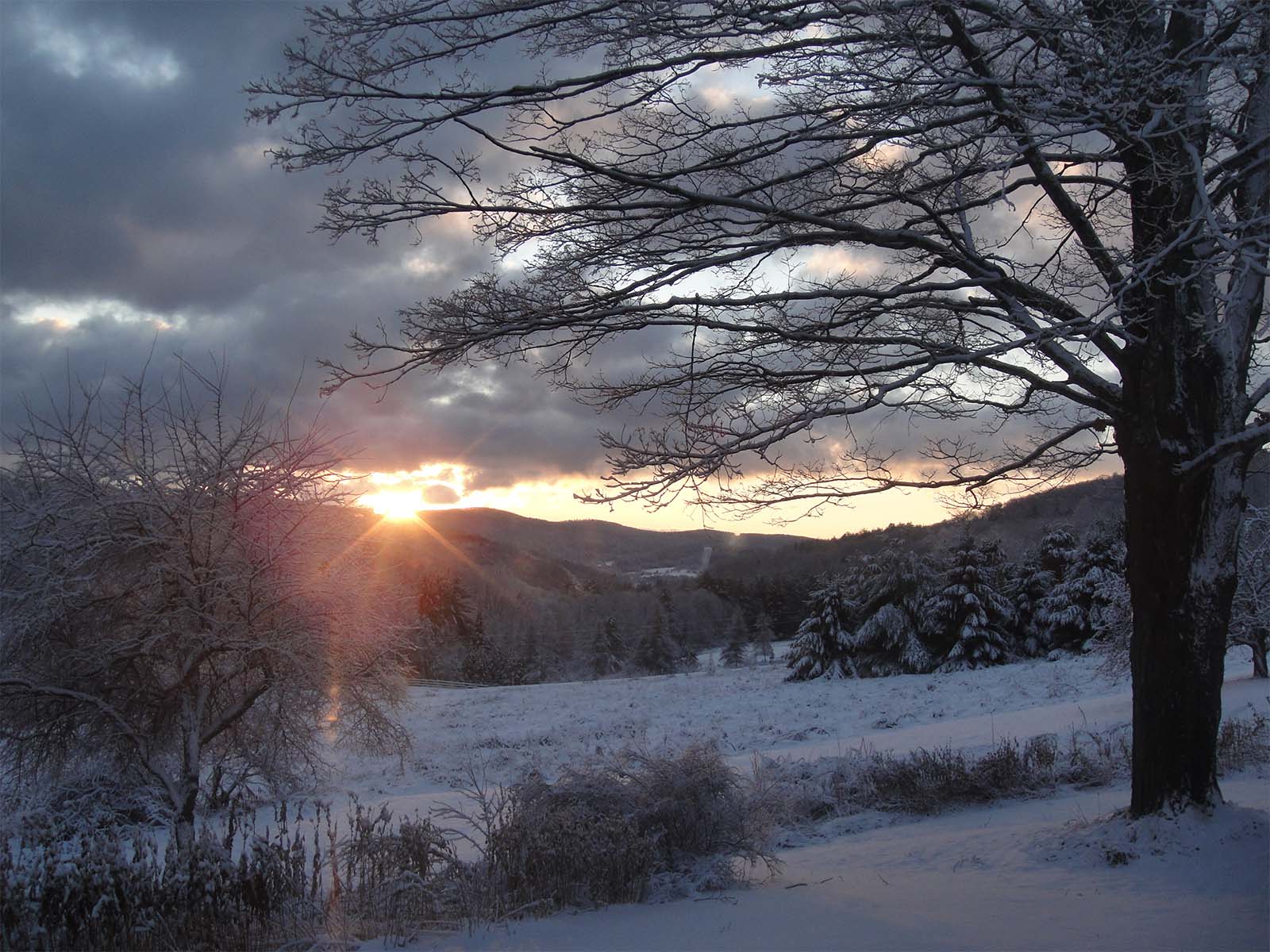 Winter Morning