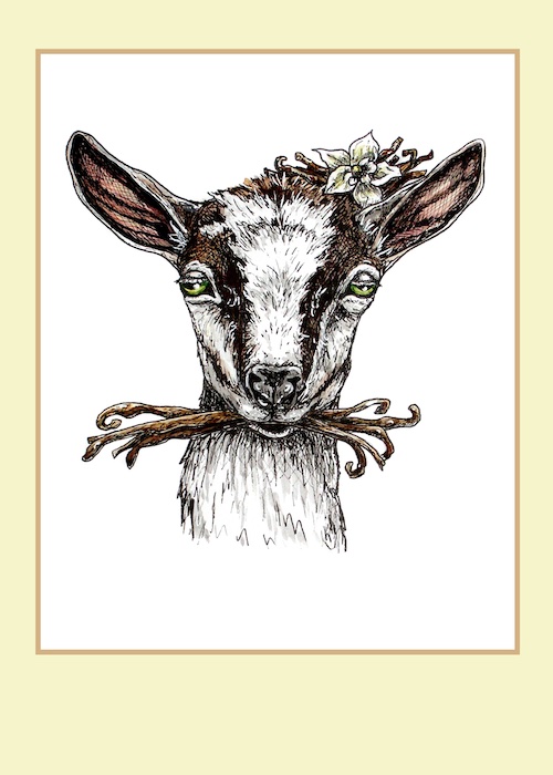 "Vanilla Goat" Card